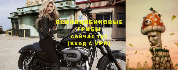 метамфетамин Козловка