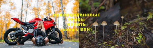 бутират Костерёво
