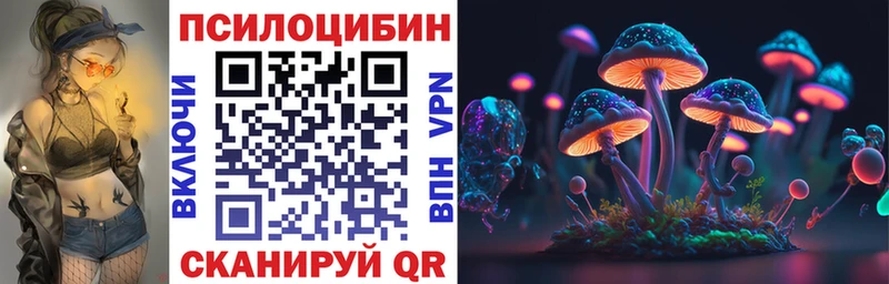 Купить  Болотное  Галлюциногенные грибы MAGIC MUSHROOMS 